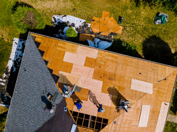 Best Roof Waterproofing Services  in Manly, IA