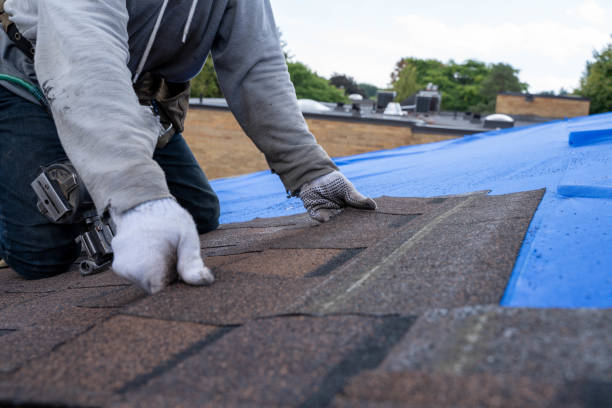 Best Residential Roofing Contractor  in Manly, IA