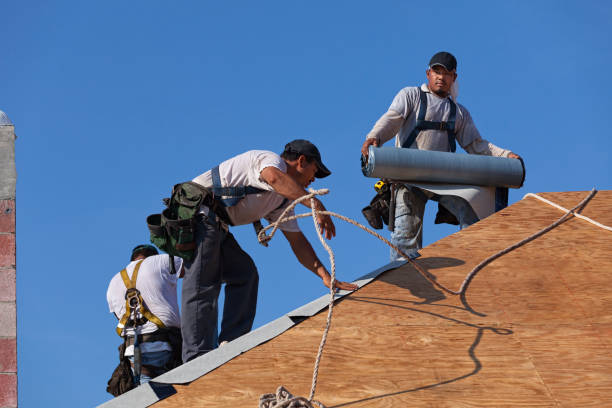 Best Metal Roofing Contractor  in Manly, IA